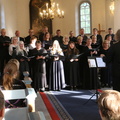 IMG 6195