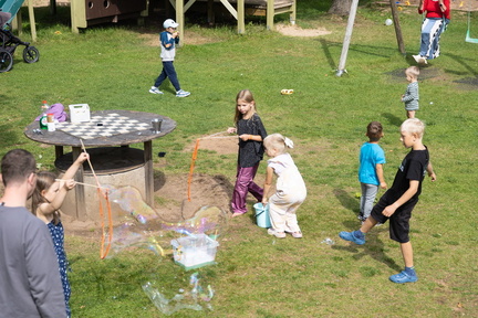 20260815-IMG 4540